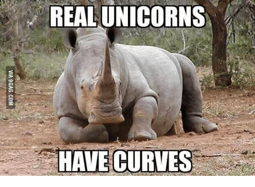 Real Unicorn Have Curves!